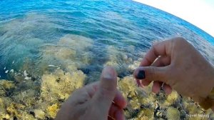 Рыбалка в Хургаде с берега. Часть 1 / Rock fishing in Hurgada from the coast. Part 1 HD