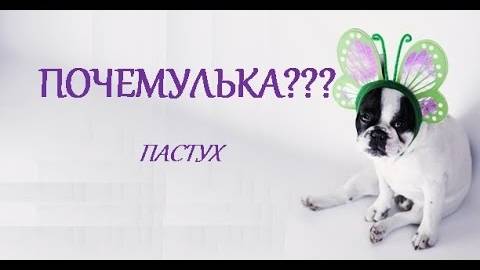 ПОЧЕМУЛЬКА. ПРОФЕССИИ. ПАСТУХ. СТИХИ ДЛЯ МАЛЫШЕЙ. ПОТЕШКИ. Короткие стишки для самых маленьких.