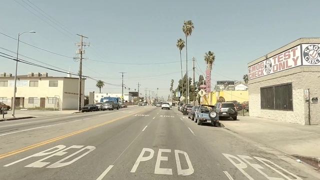 Figueroa St • Los Angeles Street Walkers