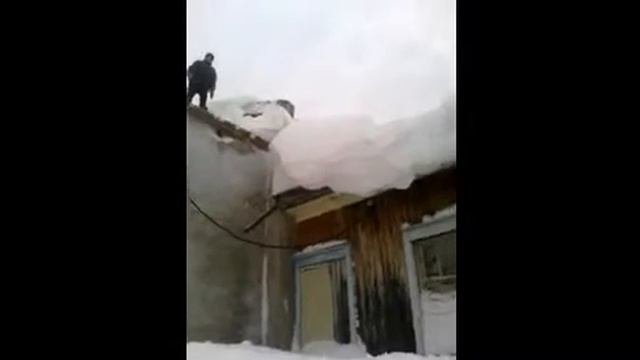 Полёт ласточки?