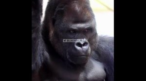 Мне и с женой весело