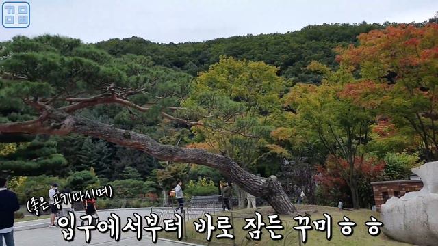 [SUB][VLOG/육아브이로그] 이렇게 깜찍하면 어쩌라는곤지? (ft. 곤지암리조트 2탄) смотреть онлайн