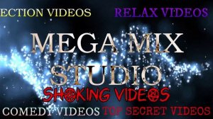 MegaMixStudio