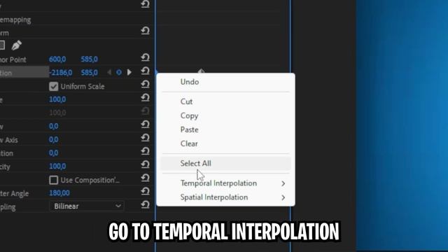 How To Make SMOOTH ANIMATIONS In Premiere pro
