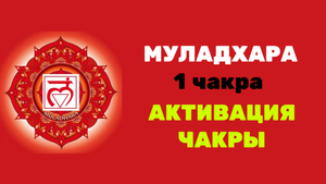 1 ЧАКРА АКТИВАЦИЯ. САМООЦЕНКА И ДЕНЕЖНАЯ ЭНЕРГИЯ