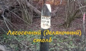 Cтолб лесосечный (деляночный).