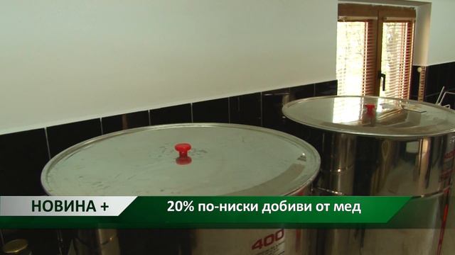 Новина плюс: 20% по-ниски добиви от мед, автор: Камелия Карадочева смотреть онлайн