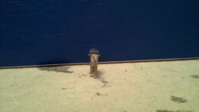 Лего мультфильм star wars смотреть онлайн