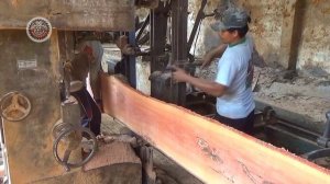 Biggest Rare Wood || Cutting The Most Beautiful Redwoods In The Sawmill