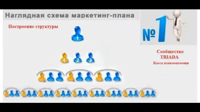 Построение структуры кассы взаимопомощи TRIADA2016