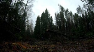 ☢Опасный уровень радиации в пещере Киров-600!!!☢