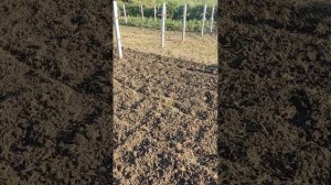 земля под паром