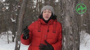 Отзыв о Центрах Здоровья Устиновой О.И. _ Избежала операции по удалению желчного пузыря