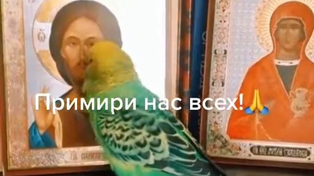 даже птицы молятся богу смотреть онлайн