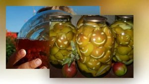 Канцлер Ги "Иван Петров"