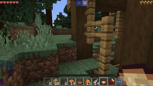 пробное видео
