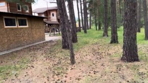 База отдыха Корогон Алтай