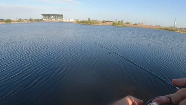 #365 #Мормышинг | Dayo PRESTIGE 0.2-0.8 гр 1.85 м - ГОДНОТА? | смотреть онлайн