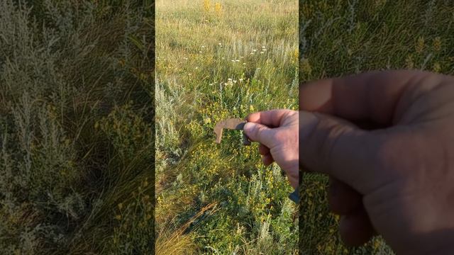 Поиск с металлоискателем. Выехал, чтобы нервы успокоить.