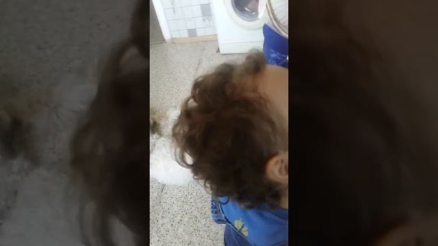 Самый маленький арбуз смотреть онлайн