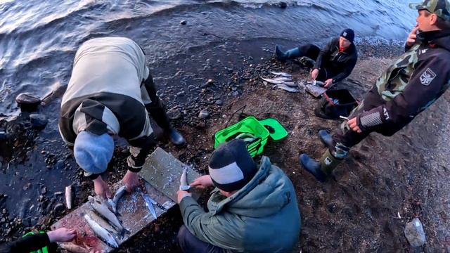 Кольский. Рыбалка. Хариус и не только 2023 часть 2 смотреть онлайн