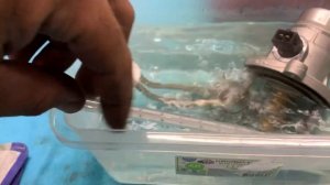 Доработка термостата BMW. Переделка в «холодный» термостат. Касается n62,n63,s63 мотров