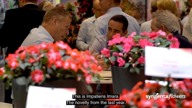 Julia Troitskaya about Syngenta Flowers in Russia and CIS countries смотреть онлайн