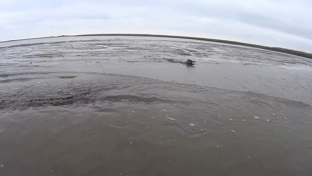 Что происходит с нашими лиманами когда дует восток/южак пол месяца смотреть онлайн