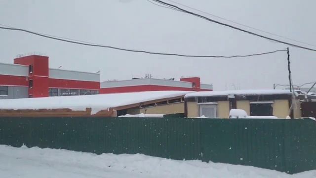 Привет с горы от маламута Айса!