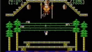Donkey Kong 3 - NES Gameplay