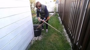 Удаление Йошты.  Пересадка Посконника. 16,18 сентября 2020 года.