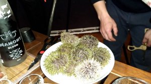 "МОРСКИЕ ЕЖИ" УЖИН В ГЛЕМПИНГЕ НА КОЛЬСКОМ по-в (15 сентября 2019г)