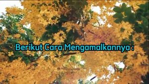 MANTRA PELET AMPUH LEWAT FOTO JARAK JAUH