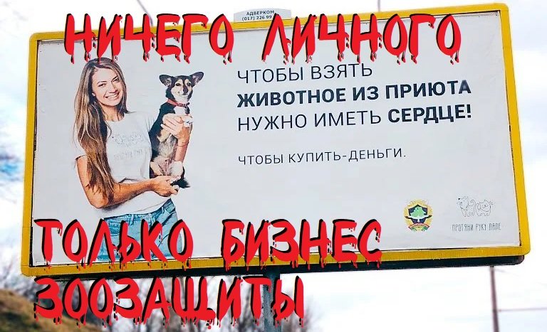 Ничего личного. Только бизнес зоозащиты.