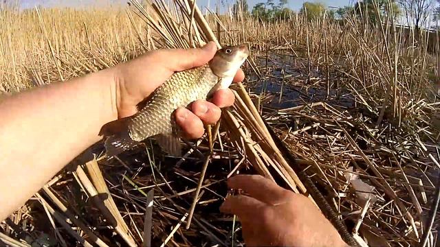 Ловля карася весной на мормышку смотреть онлайн