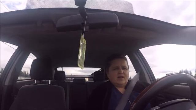 Зааненские козы!!! смотреть онлайн