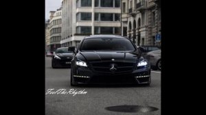 Чёрный Мерин LUCAVEROS