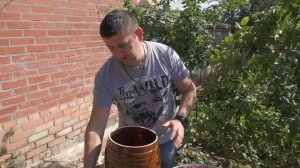 Бочковые помидоры на зиму. Просто и вкусно