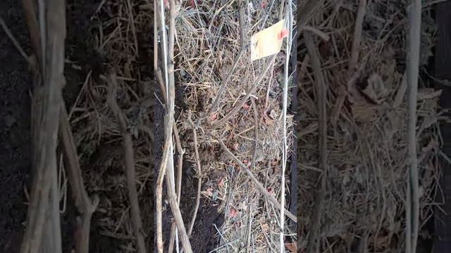 Важная информация для моих зрителей смотреть онлайн