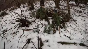 Ремонт дома под землей в Чернобыле. Волки рвутся в землянку. Картошка с грибами в печи