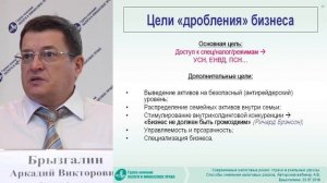 Фрагмент вебинара А. В. Брызгалина _Современные налоговые риски_ страхи и реальные угрозы