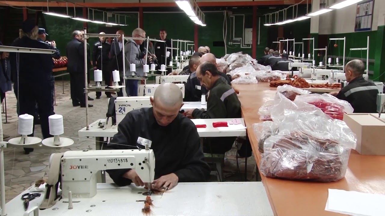 41 зона юрга. Ик 41. Ик-41 кемеровская область. Ик 41 г юрга. Женская колония юрга кемеровская область.