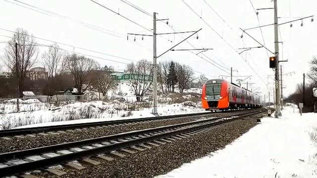 Ласточки во Владимире