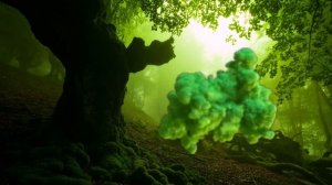 ЛЕСНОЙ МОРОК - НЕВИДИМКА ? Чистка От Вампирических Привязок