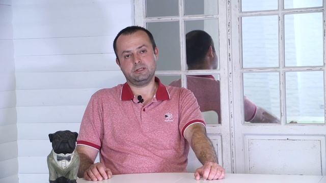 В каком возрасте покупать котенка? смотреть онлайн