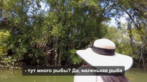 Реальный Таиланд. Путешествие с  подписчиками. Little Amazon.