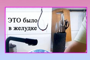 кчючок в треске