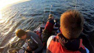 Рыбалка в Свирице.Щуки.Ладожское озеро.Троллинг.