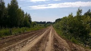 Самая высокая точка Ярославской области - гора Тархов Холм - 5 ч. из 8