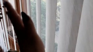 Ампельная фиалка Rob's Vanila Trail формирование, отчёт.